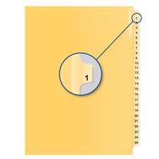 Individual Numerical Litigation Index Dividers