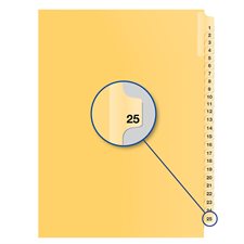 Individual Numerical Litigation Index Dividers