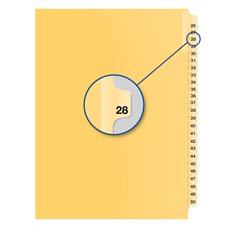 Individual Numerical Litigation Index Dividers