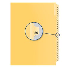 Individual Numerical Litigation Index Dividers