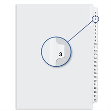 Quest Numerical Litigation Index Dividers