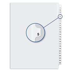 Quest Numerical Litigation Index Dividers