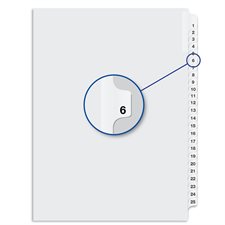 Quest Numerical Litigation Index Dividers