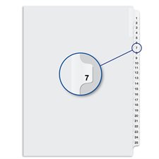 Quest Numerical Litigation Index Dividers