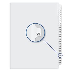 Quest Numerical Litigation Index Dividers