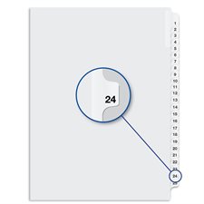 Quest Numerical Litigation Index Dividers